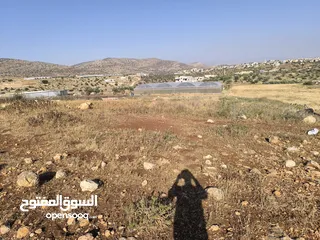  4 الارض مساحتها 1235