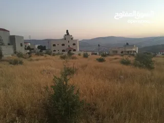 1 ارض سكنيه للبيع