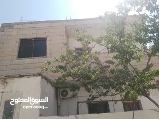  5 بيوت   طابقين   واحدة شقتين    والثانية ثلاث شقق