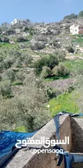  3 قطعة ارض مربعة في بيت امرين