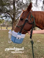  8 جهاز التنفس المتنقل للخيول