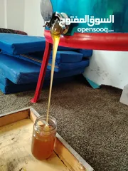  2 عسل ربيع بلدي فحص