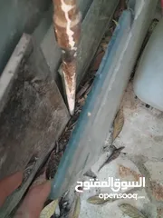  7 زجاج حراري