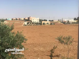  1 دونم للبيع لواء ذيبان