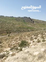  6 قطعة ارض للبيع بسعر مغري جدا