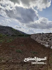  11 قطعه أرض في اجمل مواقع عجلون