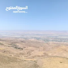  3 مزرعه للبيع في الصبيحي مطله على فلسطين