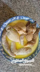  16 كرشات وفوارغ على كيفك كيفك