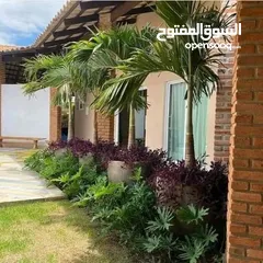  1 مزارع  حدائق وبستنة والإشراف على النبات
