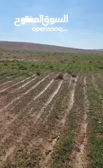  3 أرض 10 دنومات لقطة للبدل أو للبيع