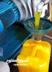  1 زيت زيتون جديد