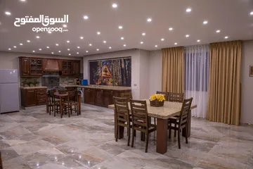  12 شقة مفروشة فاخرة بتصميم عصري اعلان رقم (L100)