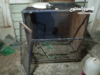  1 قفص دجاج ويصلح للكلاب