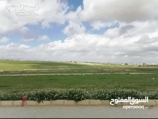  1 ارض   للببع في عميش ......