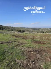  5 نمرتين ارض