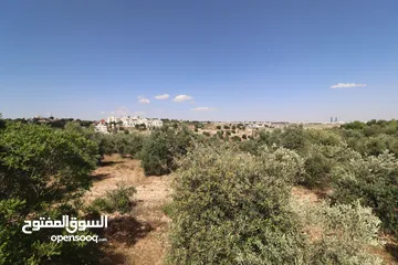  1 (1)ارض للبيع في اجمل مناطق الأردن الفحيص _حوض أبو ركبه _بالقرب من دابوق