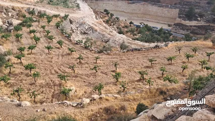  4 أرض في بيت كاحل مطلة على شارع واد القف