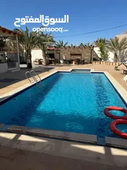  21 شاليه فخم للإيجار في البحر الميت