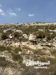  4 دونم للبيع بسعر مغري في بيت امرين قريب جدا من الخدمات و البناء