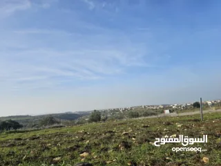  2 نمرتين ارض