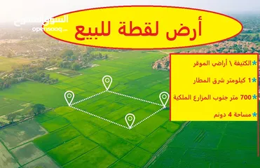  11 الكتيفة أفضل حوض , كيلو متر واحد فقط عن مطار الملكة علياء الدولي, 700 م عن مزرعة سمو الأميرة الموقر