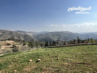  8 ارض 4600 مطله اطلاله خلابه على سد الملك طلال