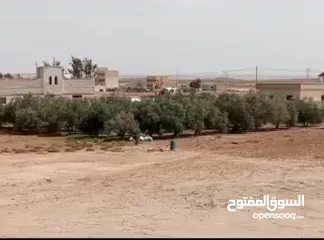  3 فرصه ذهبية على قطع أراضي استثمارية؛في محافظة المفرق في قرية الحميدية. بمساحات 750 م و 1000 م دونم