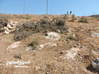  9 أجمل اطلالات جلعد-قوشان مستقل