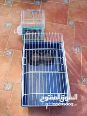  2 قفصين للبط مستعمل بحال الوكالة