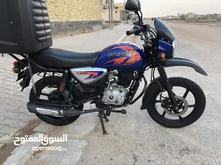  5 بوكسر جبلي 23