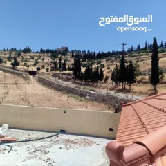  5 مزرعه للبيع في الصبيحي مطله على فلسطين