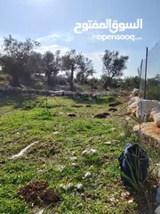  1 ارض للبيع زتون زراعي الي معني تواصل موجودة صفا غرب رام لله