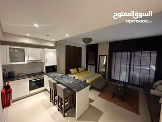  8 Luxurious large fully furnished studio Apartments in Jabal Sifah for sale