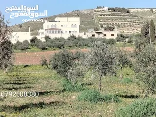  18 اجمل مزرعه بافضل سعر جاهزه مشجره منطقه دحل جرش