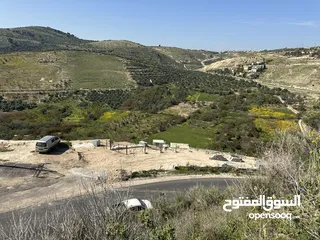 18 استراحة استثماريه للبيع مطله على وادي الريان قوشان مستقل 3،5 دونم مشجرة بالكامل مع مواقف سيارات