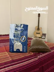  2 قط ذكر من نوع فريد للبيع