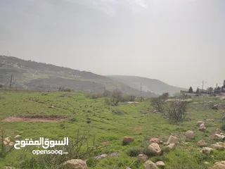  4 للبيع قطع اراضي في عيون الجاموس
