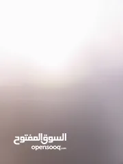  1 تيشرتات ساده للطباعه