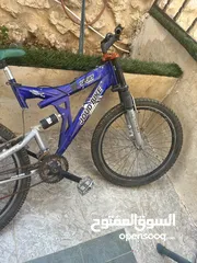  1 بسكليت أمريكي نضيف