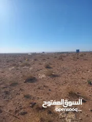  10 ارض للبيع شرق جامعة العلوم والتكنولوجيا