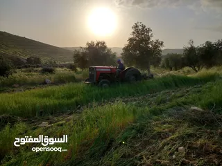  19 مزرعه  6 دونمات ب اقل سعر بلمنطقه 38 الف دحل جرش