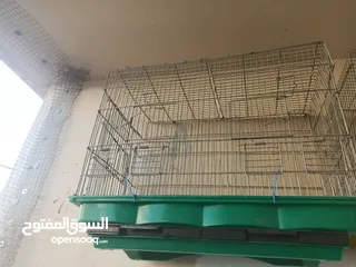  8 مخاليف كوكتيل عمر شهرين صحه ونظافة شغل تدريب