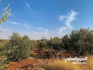  8 ارض للبيع في السلط /الصبيحي -بيوضة الشمالية  مساحة الارض 3.400 دونم