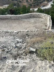  4 عجول قطعة ارض مساحتها 811 متر كوشان طابو مستقل سلطة أ تنازل فوري