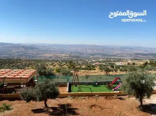  19 شاليه مميز