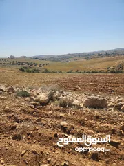  8 للبيع ارض الدجنية يوجد 3 قطعه