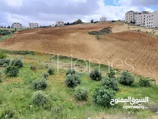  2 ارض للبيع تصلح لبناء فيلا في الدمينة بمساحة ارض 1003م
