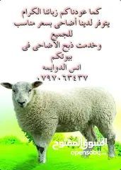  3 ذبح اضاحي بالمنزل
