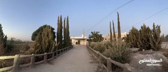  2 مزرعه للبيع مساحتها دلم