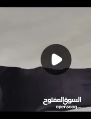  11 نظاره شمسيه ممتازة بكج كامل الاصليه فقط